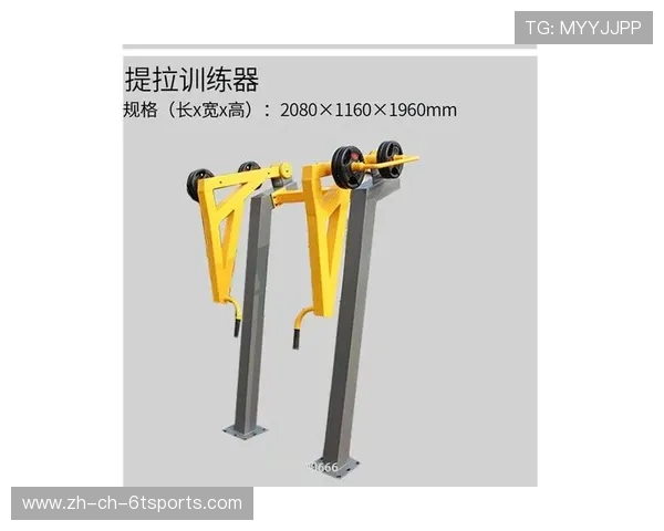 高拉力训练器如何有效训练肩膀与背部肌肉